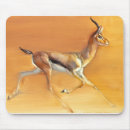 Search for antelope electronics Desert