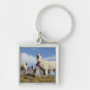 Search for andes key rings Argentina