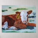 Search for hereford cattle art Bull