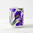 Search for iris garden Summer