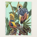 Search for plants office supplies Tropical