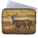 Search for odocoileus electronics Texas
