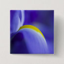 Search for close up badges Blue