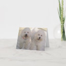 Search for bichons cards Happy