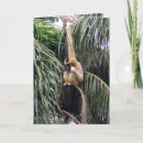 Search for gibbon postcards Primate