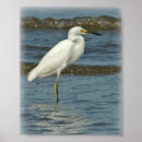 Search for water animal art Egret