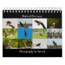 Search for birds of prey calendars Nature