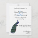 Search for peacock plume invitations Birds