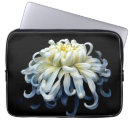 Search for chrysanthemum flowers electronics Blossom