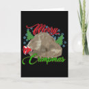 Search for rock climbing seasonal cards Boulder