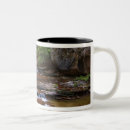 Search for utah coffee mugs Desert