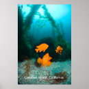 Search for sea kelp art Underwater