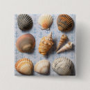 Search for seashell badges Sand