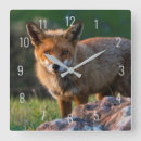 Search for fox nursery clocks Kids