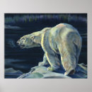 Search for arctic animals posters Bears