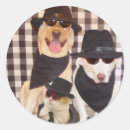 Search for cool cats stickers Kitty