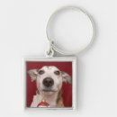 Search for jack russell key rings Cute