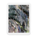 Search for magnolia magnets Nature