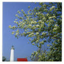 Search for michigan lighthouse tiles White