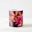 Search for pink frangipani mugs Floral