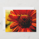 Search for all purpose invitations Simple