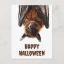 Search for bat postcards Halloween