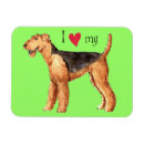 Search for airedale magnets Terrier