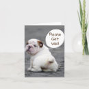 Search for humorous get well cards Accident