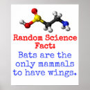Search for bat winged posters Mammals