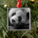 Search for panda bear christmas tree decorations Black and white