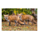 Search for winking art Nature