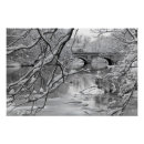 Search for frozen posters Photography