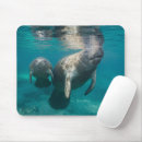 Search for beach babies mousepads Ocean
