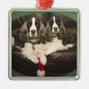 Search for liver christmas tree decorations Santa
