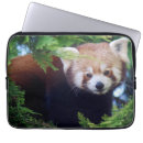 Search for wildlife cases Panda