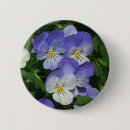 Search for pansy badges Nature