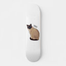 Search for cat skateboards Pet