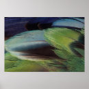 Search for parrot design posters Wildlife