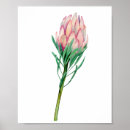 Search for budding art Flower