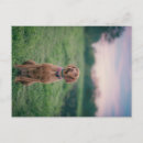 Search for sporting dog postcards Cute