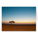 Search for lonely tree Orange