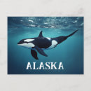 Search for orca postcards Whales
