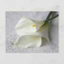 Search for linens invitations White