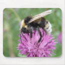 Search for bumblebee mousepads Pink