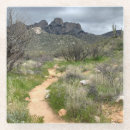 Search for trail coasters Photography