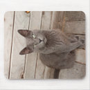 Search for ate electronics Animals