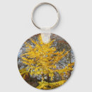 Search for ginkgo key rings Tree