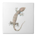 Search for gecko tiles Illustration