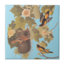 Search for bird nest tiles Nature