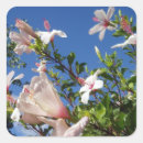 Search for hibiscus photo stickers Tropical